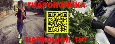 Альфа ПВП Ирбит