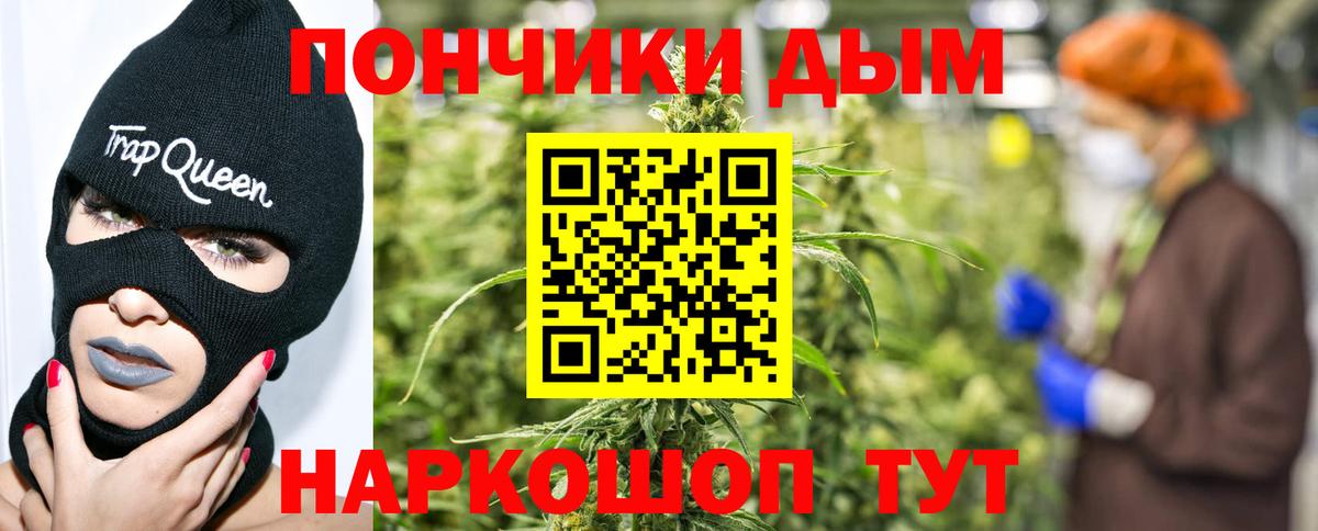 Кизляр  Каннабис план  Вход с VPN  Шишки марихуана Bruce Banner 